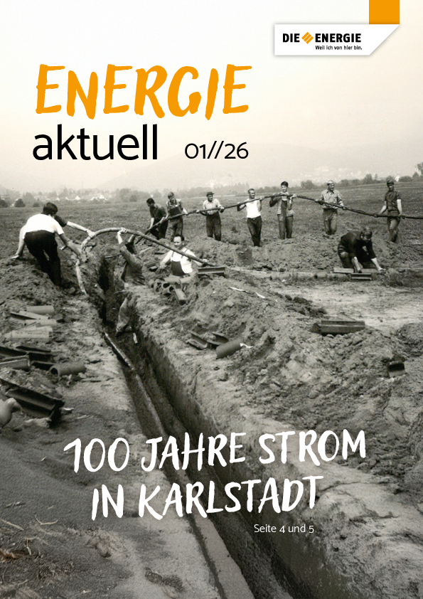 die-energie-1-2026-web.pdf 