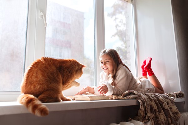 Kind im warmen Frotteegewand, das auf der Fensterbank liegt und ein Buch liest. Winterwochenende mit roter Katze zu Hause.