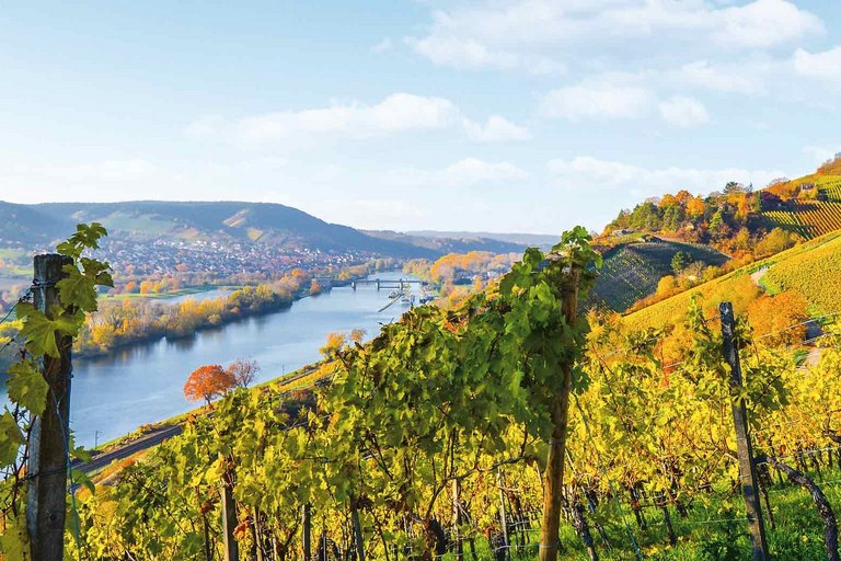 Weinberge_Main_Startseite_Homepage.jpg