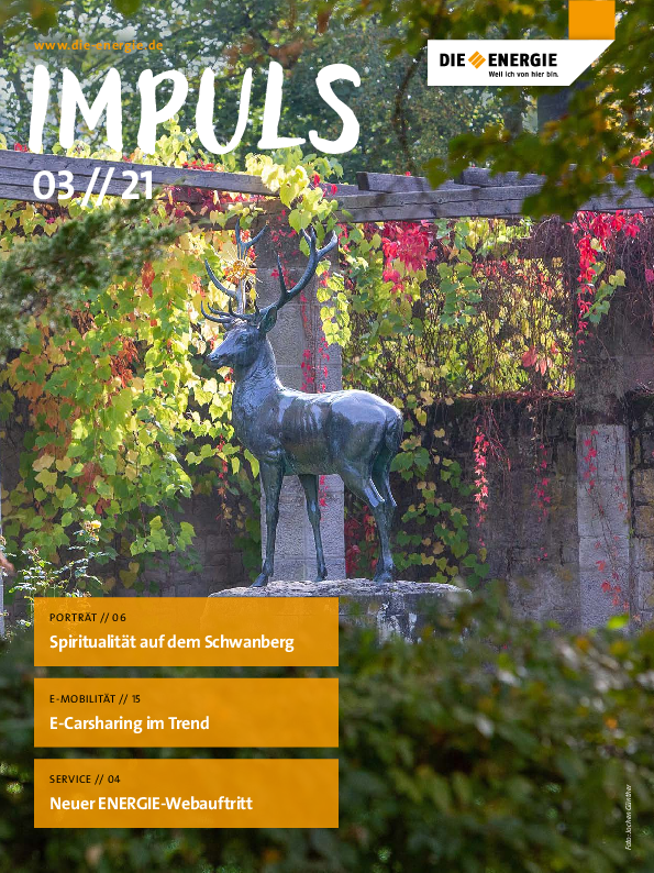 impuls-2021-03-titel.pdf 