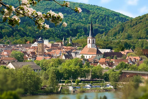 Stadtansicht Sendelbach